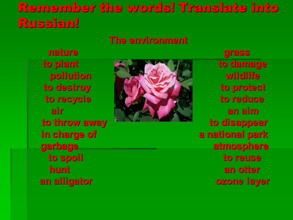 How do you treat the Earth?. Remember the words! Translate into Russian!  The environment nature grass nature grass to plant to damage to plant to  damage. - ppt download