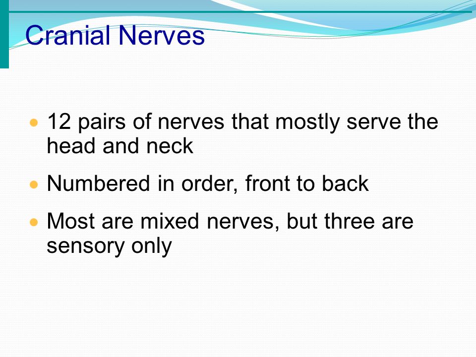 JOSE S. SANTIAGO M.D.. Glasgow Coma Scale Cranial Nerves 12 pairs of ...