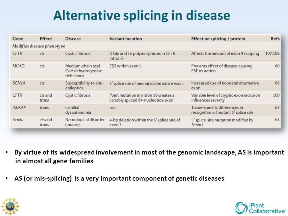 Alternative Splicing. mRNA Splicing During RNA processing internal segments  are removed from the transcript and the remaining segments spliced  together. - ppt download