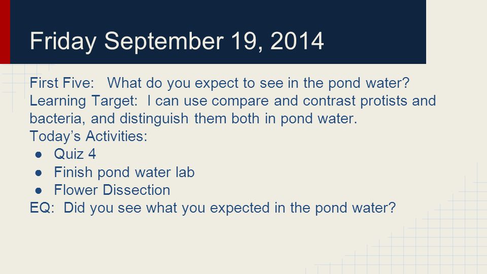 Friday September 19, 2014 First Five: What do you expect to see in the pond water.
