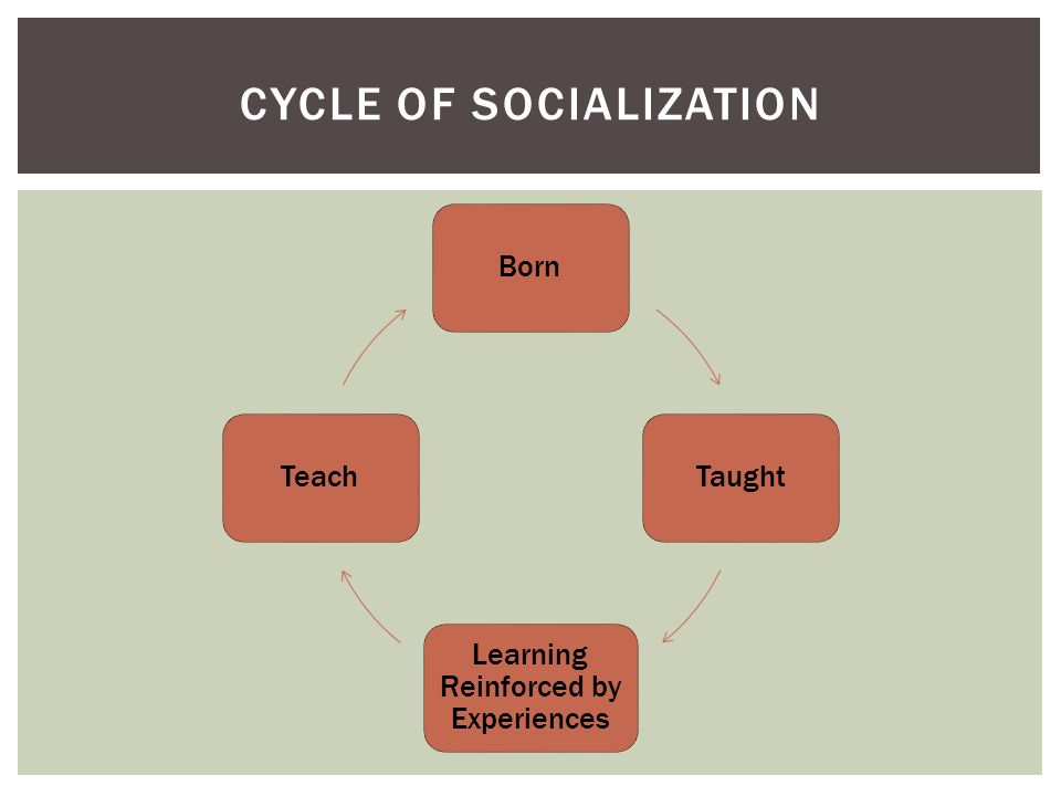 BornTaught Learning Reinforced by Experiences Teach