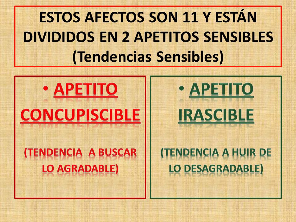 Resultado de imagen de el apetito irascible