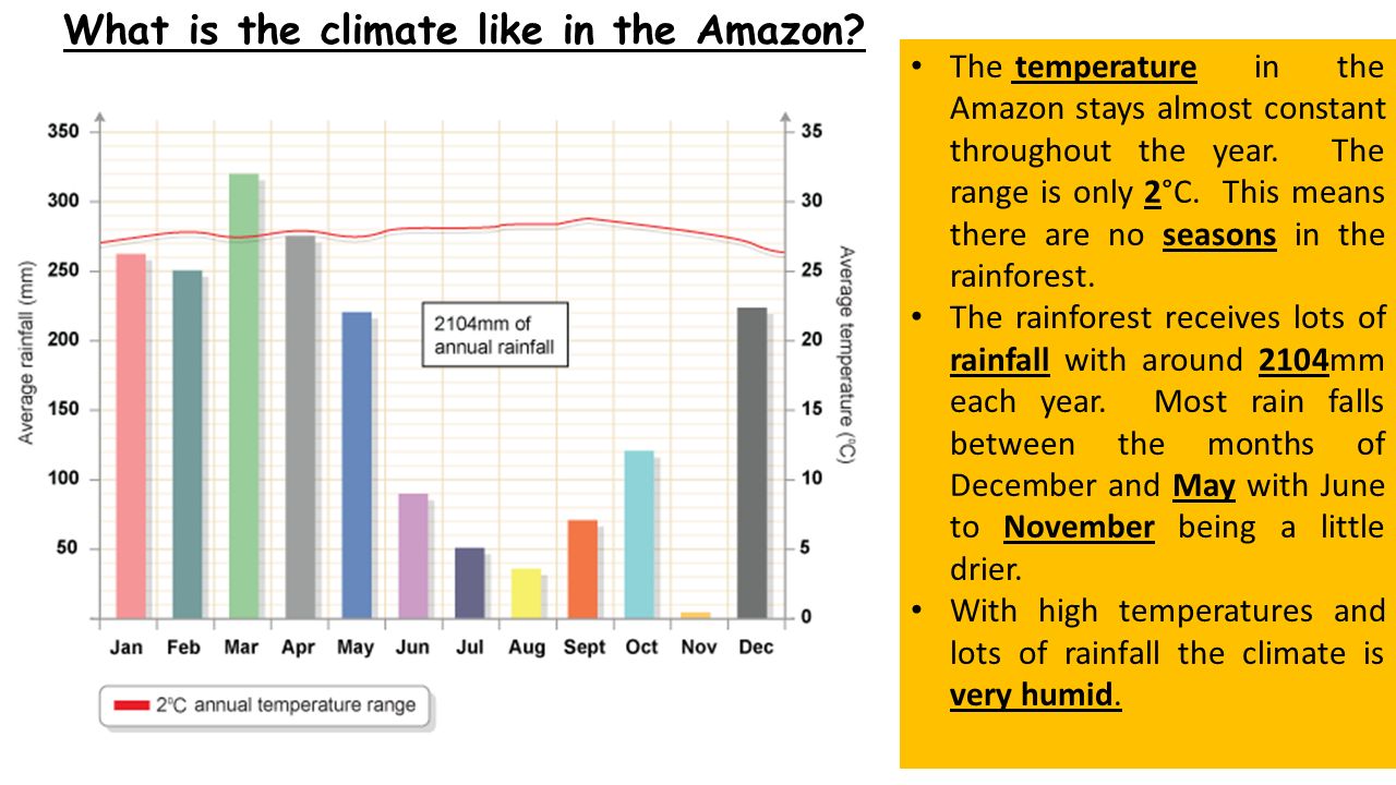 Today We Are Learning To Locate The Amazon Rainforest Identify The Climate And Its Key Characteristics Introduce The Key Features Of The Biome Ppt Download