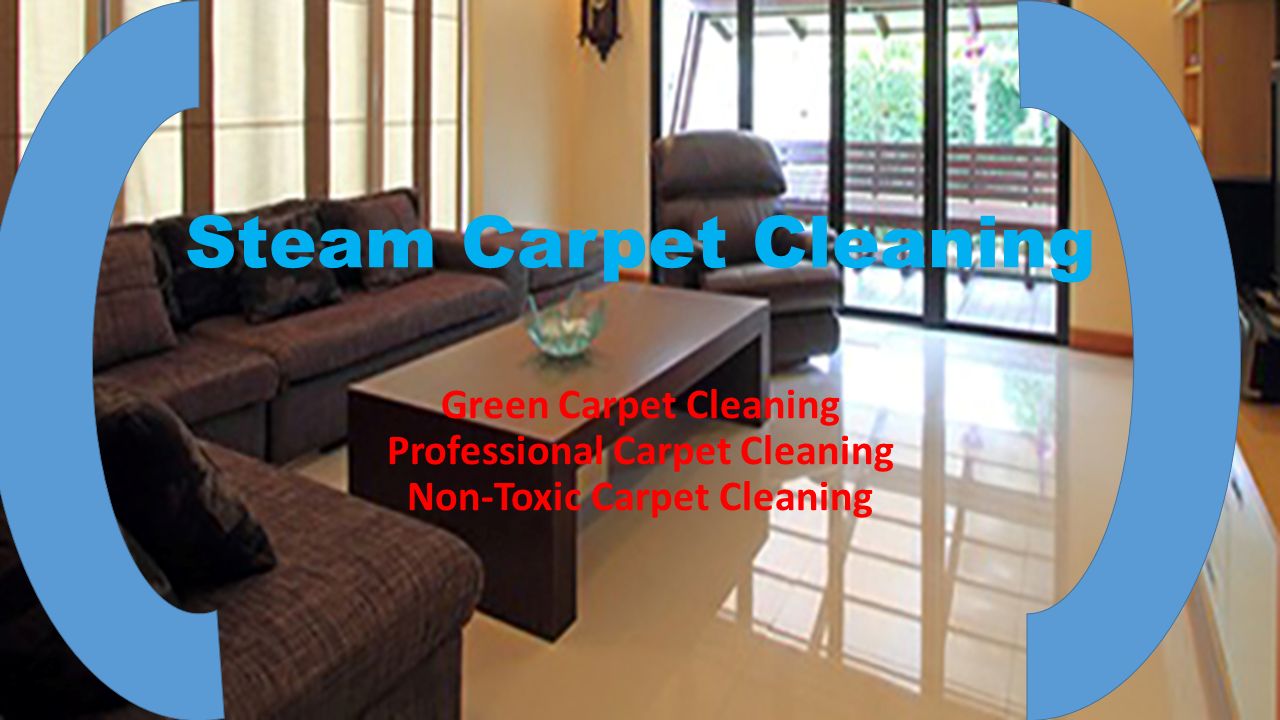 Steam Carpet Cleaning Green Carpet Cleaning Professional Carpet Cleaning Non-Toxic Carpet Cleaning