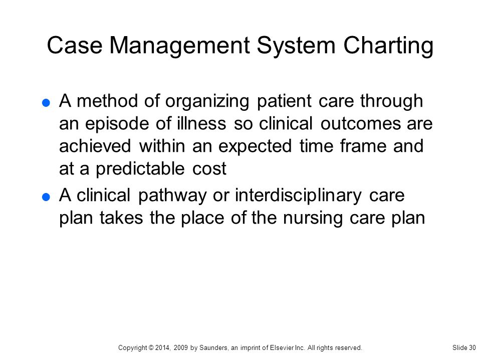 Case Management System Charting