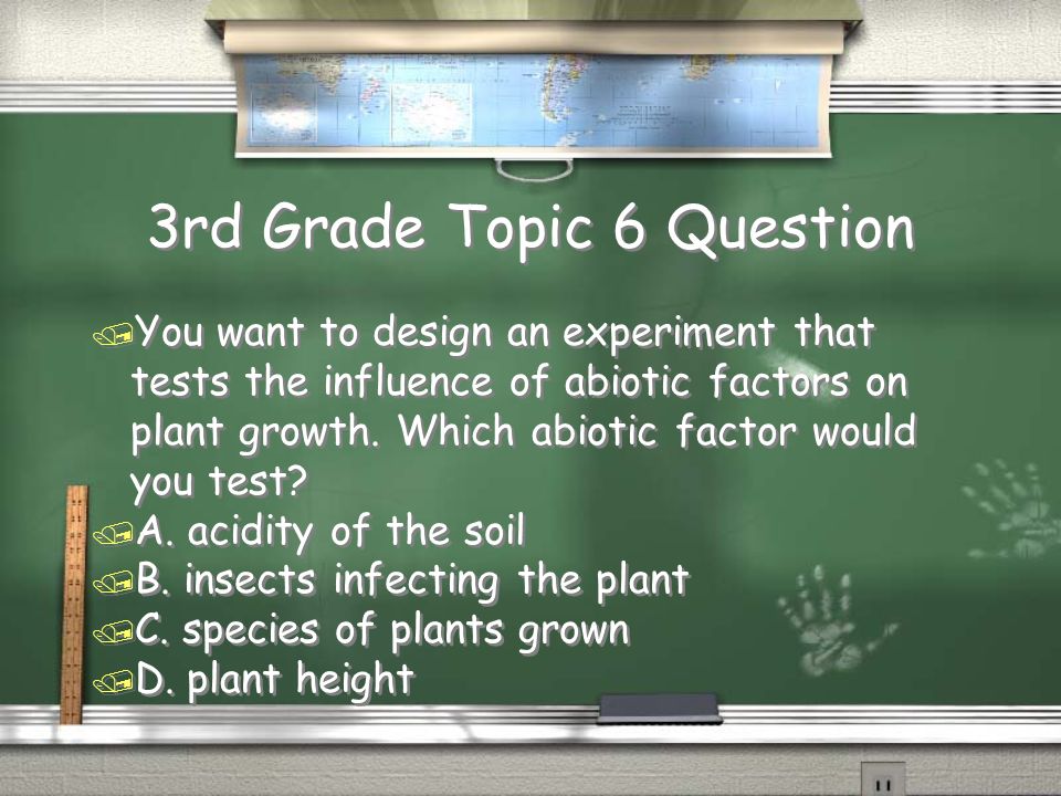 3rd Grade Topic 5 Answer Return