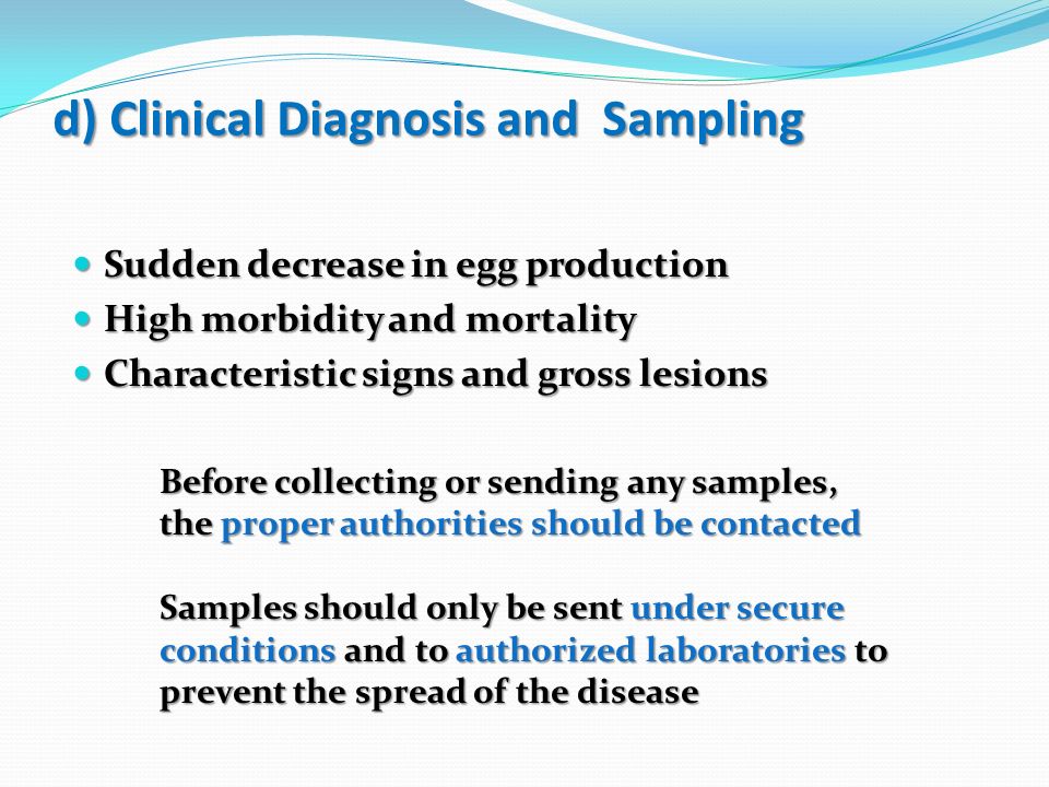 d) Clinical Diagnosis and Sampling Sudden decrease in egg production Sudden decrease in egg production High morbidity and mortality High morbidity and mortality Characteristic signs and gross lesions Characteristic signs and gross lesions Before collecting or sending any samples, the proper authorities should be contacted Samples should only be sent under secure conditions and to authorized laboratories to prevent the spread of the disease