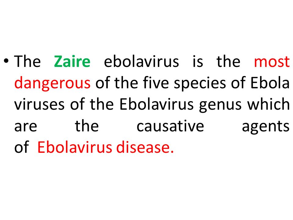 Ebola Virus M Prasad Naidu Msc Ph D Introduction Ebola Virus