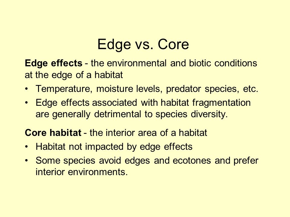 Edge effects - the environmental and biotic conditions at the edge of a habitat Temperature, moisture levels, predator species, etc.