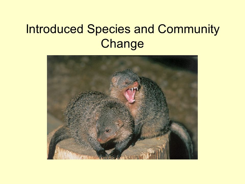 Introduced Species and Community Change