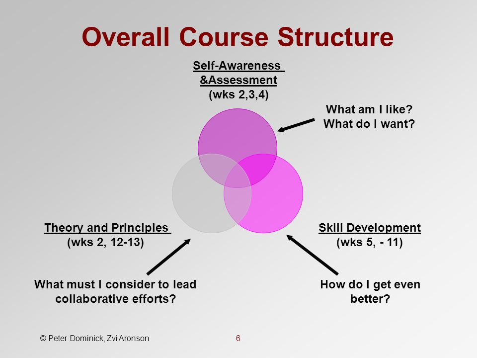Overall Course Structure 6 Self-Awareness &Assessment (wks 2,3,4) Skill Development (wks 5, - 11) Theory and Principles (wks 2, 12-13) What am I like.