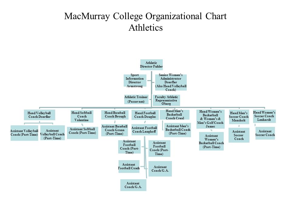 Athletic Department Organizational Chart