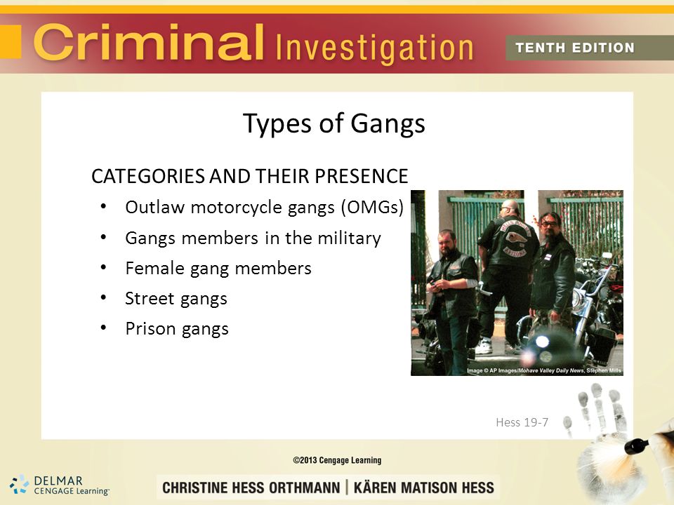 CATEGORIES AND THEIR PRESENCE Outlaw motorcycle gangs (OMGs) Gangs members in the military Female gang members Street gangs Prison gangs Hess 19-7 Types of Gangs