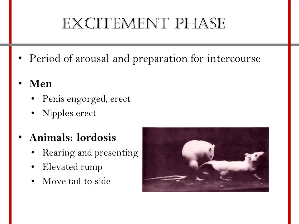 Think, that aroused nipples and penis Draw? aroused nipples and penis life. There's