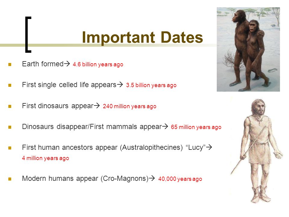 Human Origins What Defines A Human Important Dates Earth Formed 4 6 Billion Years Ago First Single Celled Life Appears 3 5 Billion Years Ago First Ppt Download
