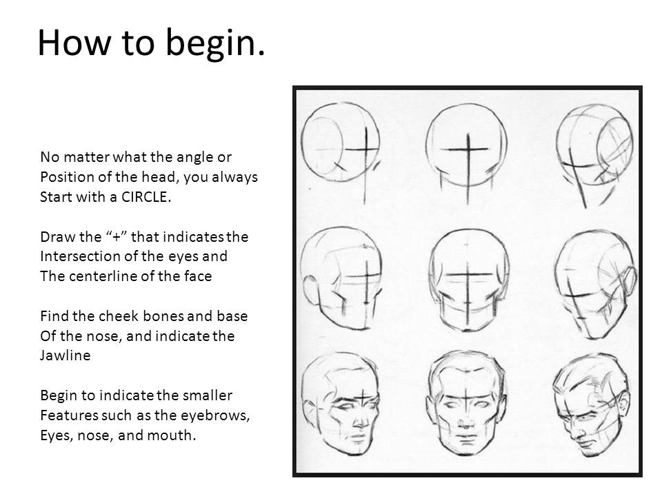 E shape. Position of head. <Head></head> описание. How to draw a head position. Name of the Angles of the head turn.