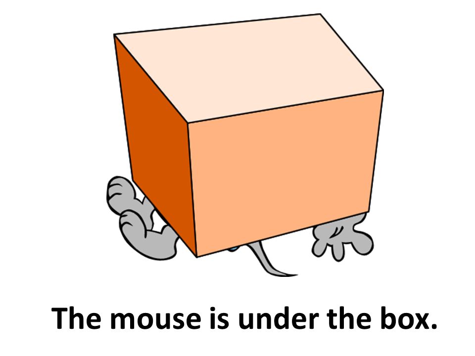 The cat is under the chair. - ppt download