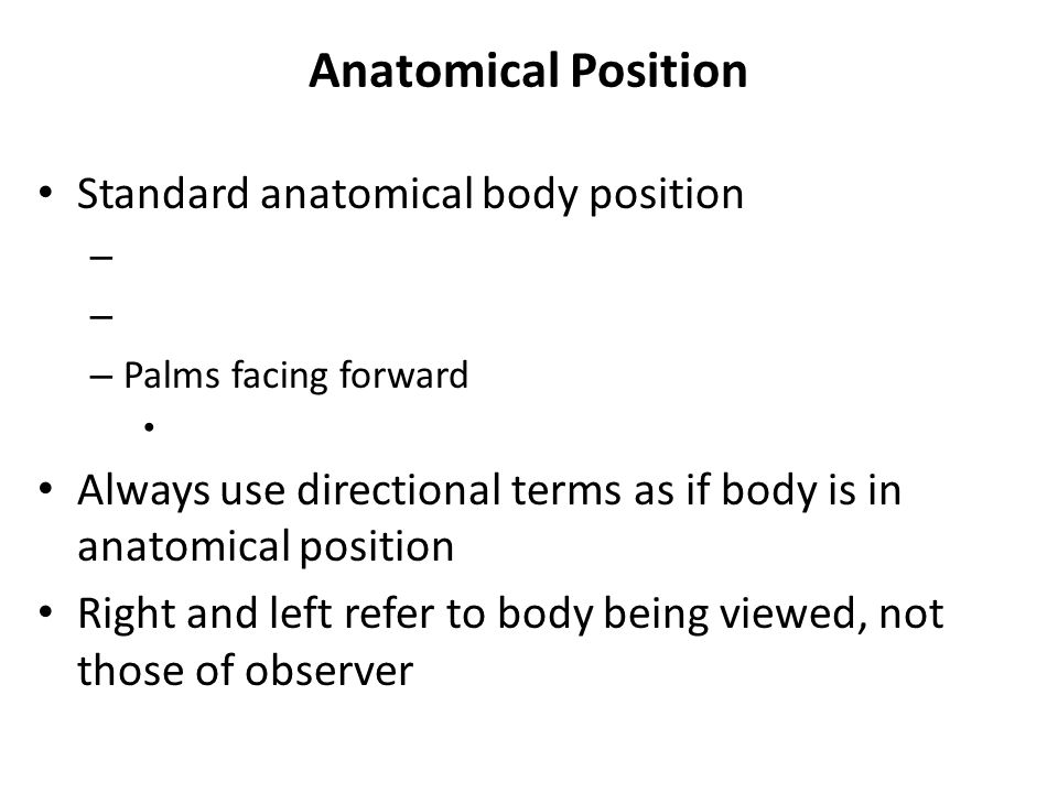 Exam One Material Chapters Overview of Anatomy and Physiology Anatomy ...