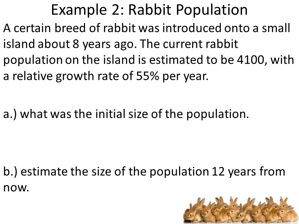 Example 2: Rabbit Population A certain breed of rabbit was introduced onto a small island about 8 years ago.