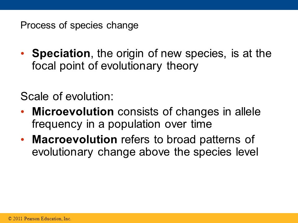 Speciation, the origin of new species, is at the focal point of evolutionary theory Scale of evolution: Microevolution consists of changes in allele frequency in a population over time Macroevolution refers to broad patterns of evolutionary change above the species level © 2011 Pearson Education, Inc.