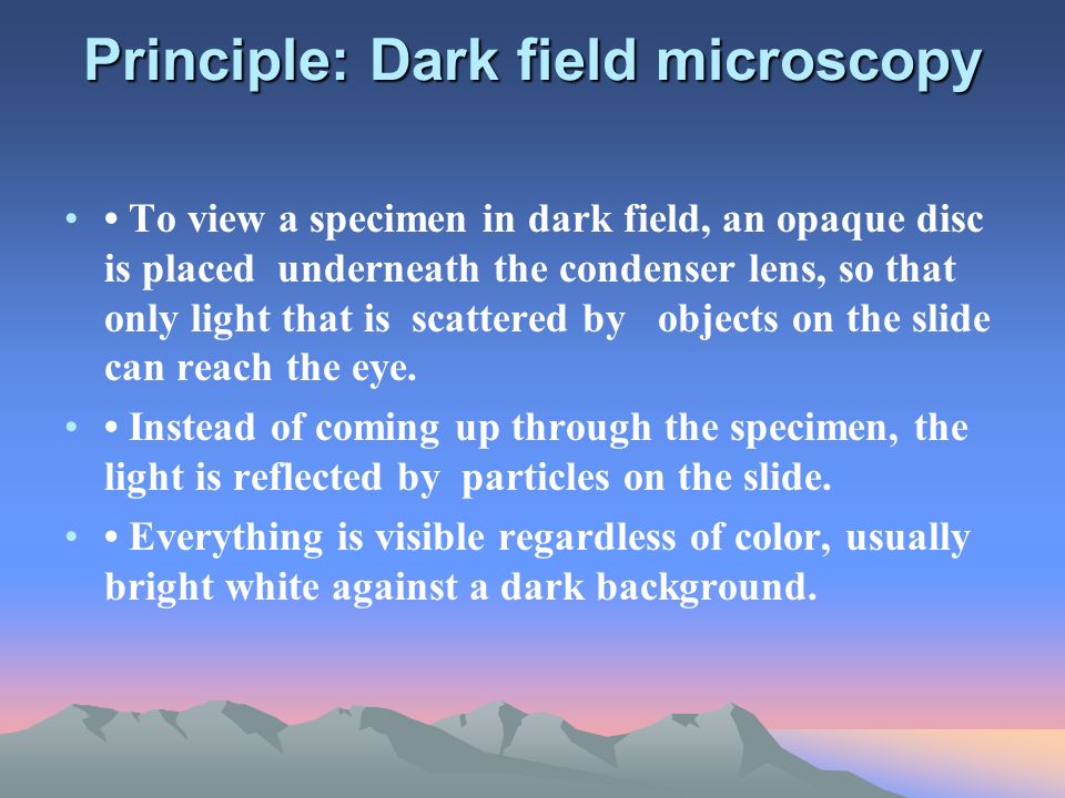 Principles of light microscopy: With a compound light microscope, we can  examine very small specimens as well as some of their fine detail. A series  of. - ppt download