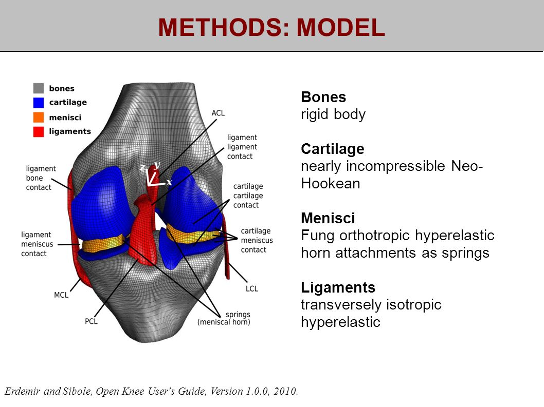METHODS: MODEL Erdemir and Sibole, Open Knee User s Guide, Version 1.0.0, 2010.