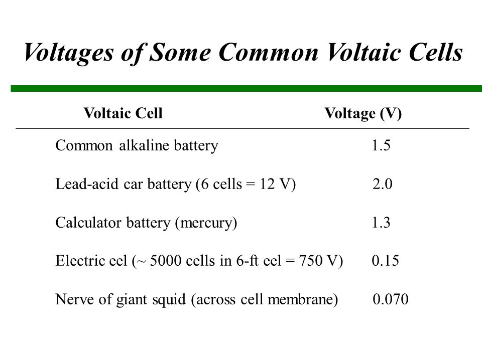 Voltages of Some Common Voltaic Cells Voltaic Cell Voltage (V) Common alkaline battery 1.5 Lead-acid car battery (6 cells = 12 V) 2.0 Calculator battery (mercury) 1.3 Electric eel (~ 5000 cells in 6-ft eel = 750 V) 0.15 Nerve of giant squid (across cell membrane) 0.070