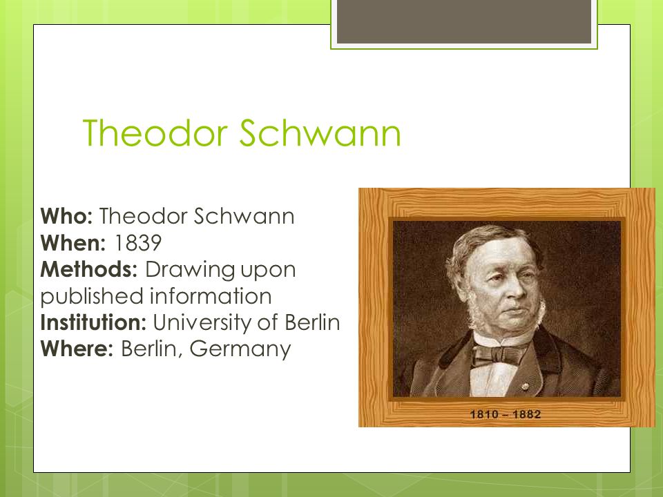 Theodor Schwann Who: Theodor Schwann When: 1839 Methods: Drawing upon published information Institution: University of Berlin Where: Berlin, Germany