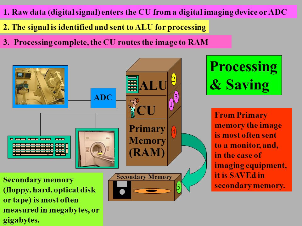 Chapter 2: Computer Hardware. Central Processing Unit (CPU) ALU CU Primary  Memory (RAM & ROM) Arithmetic Logic Unit (contains logic gates in  registers) - ppt download