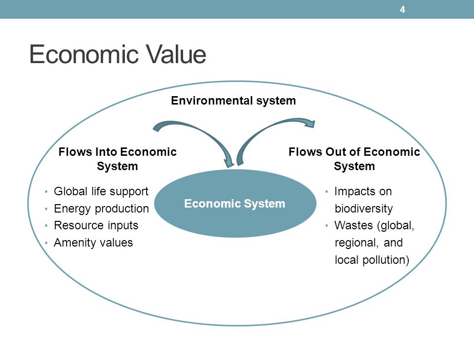 Environment value. Economic value added картинки. Economic value added формула. Economic book value формула. The economic System.