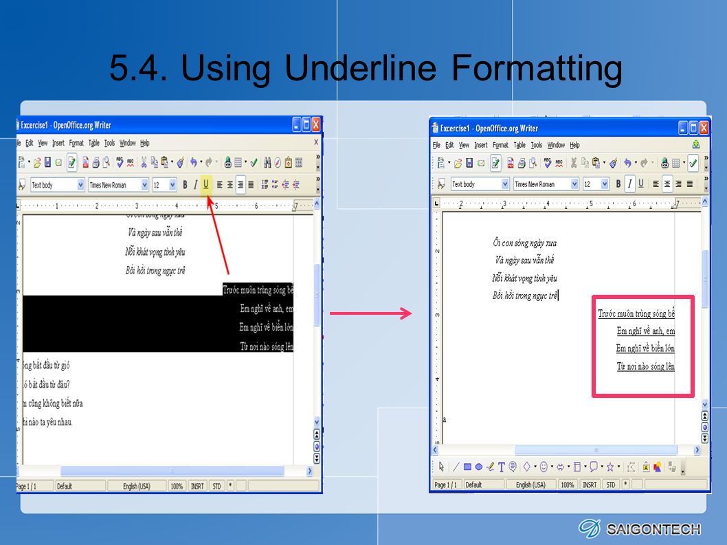 5.4. Using Underline Formatting