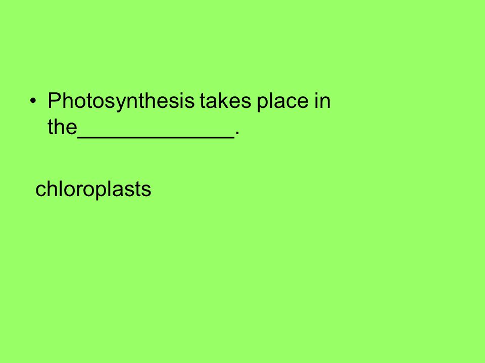 Photosynthesis takes place in the_____________. chloroplasts