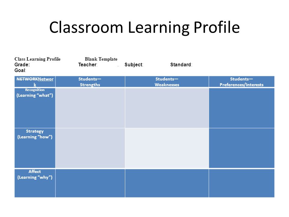 student learning profile template