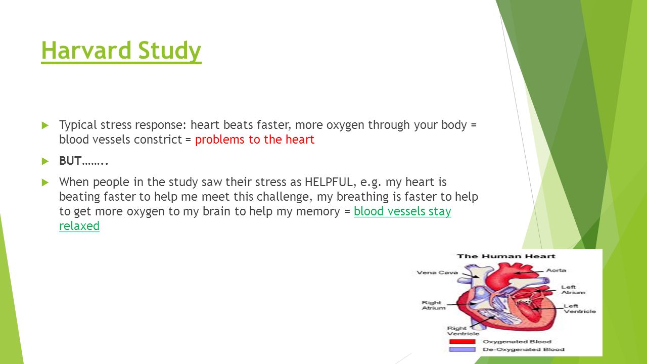 Harvard Study  Typical stress response: heart beats faster, more oxygen through your body = blood vessels constrict = problems to the heart  BUT……..