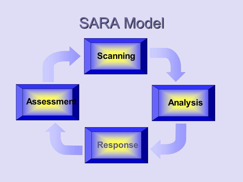 sara problem solving model