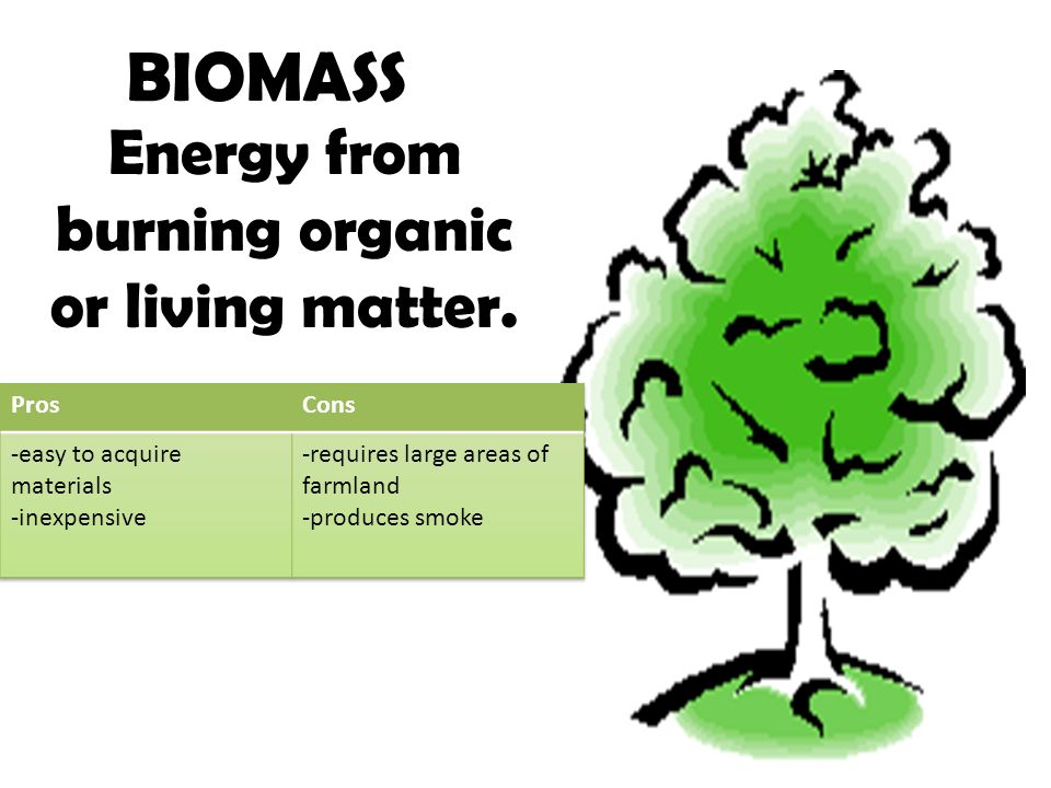 BIOMASS Energy from burning organic or living matter.