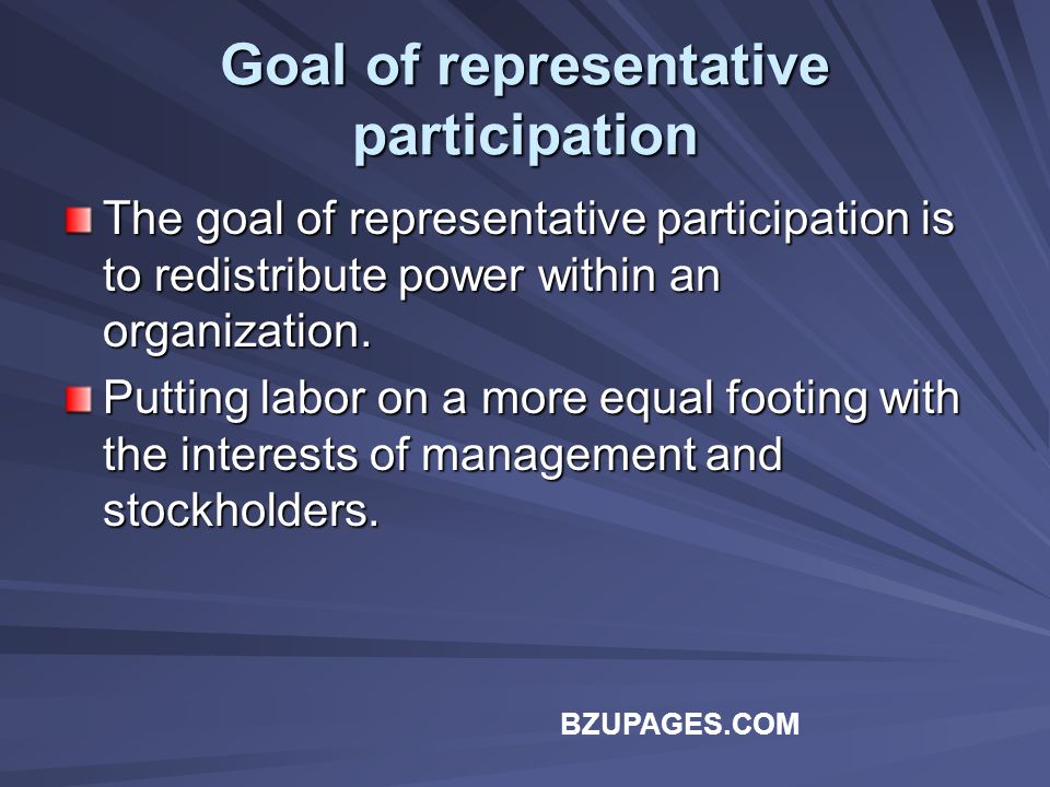 BZUPAGES.COM Goal of representative participation The goal of representative participation is to redistribute power within an organization.