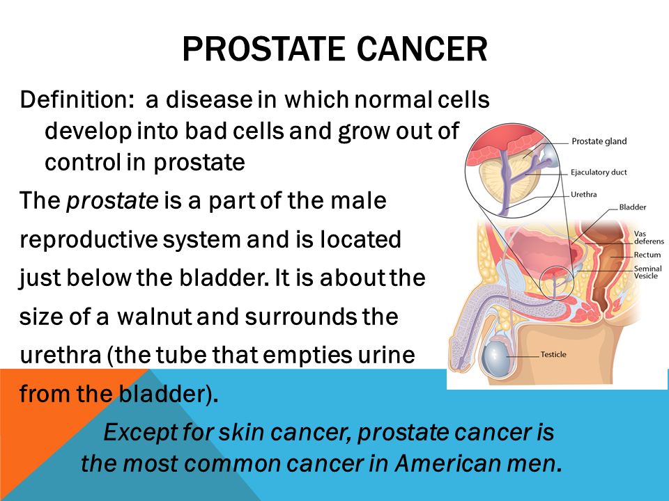 Who cancer pathology prostate cancer