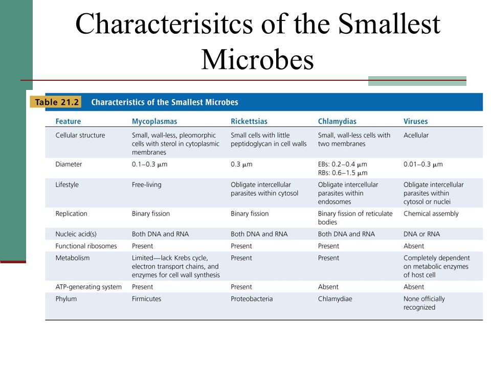 Characterisitcs of the Smallest Microbes