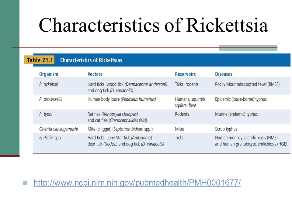 Characteristics of Rickettsia