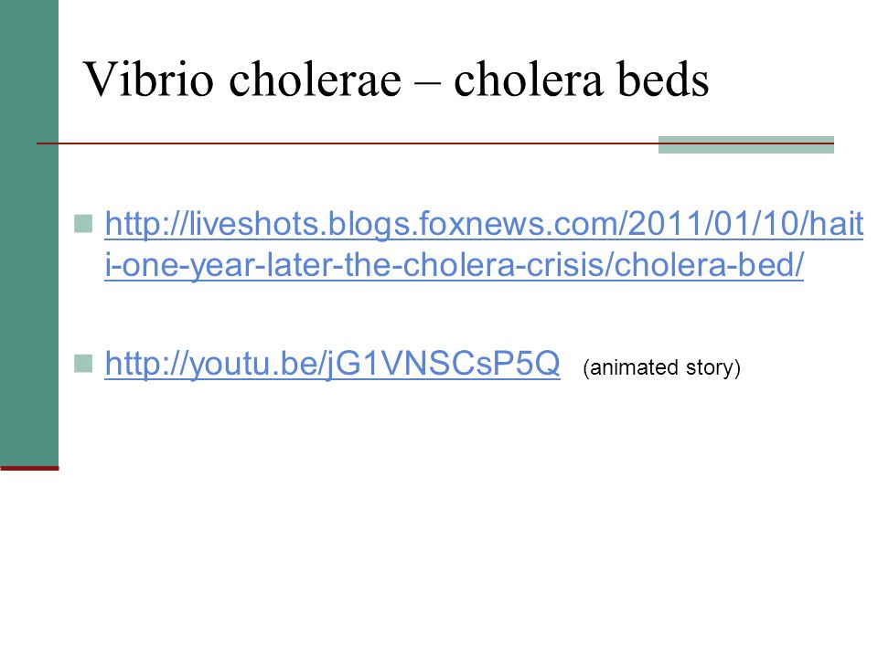 Vibrio cholerae – cholera beds   i-one-year-later-the-cholera-crisis/cholera-bed/   i-one-year-later-the-cholera-crisis/cholera-bed/   (animated story)