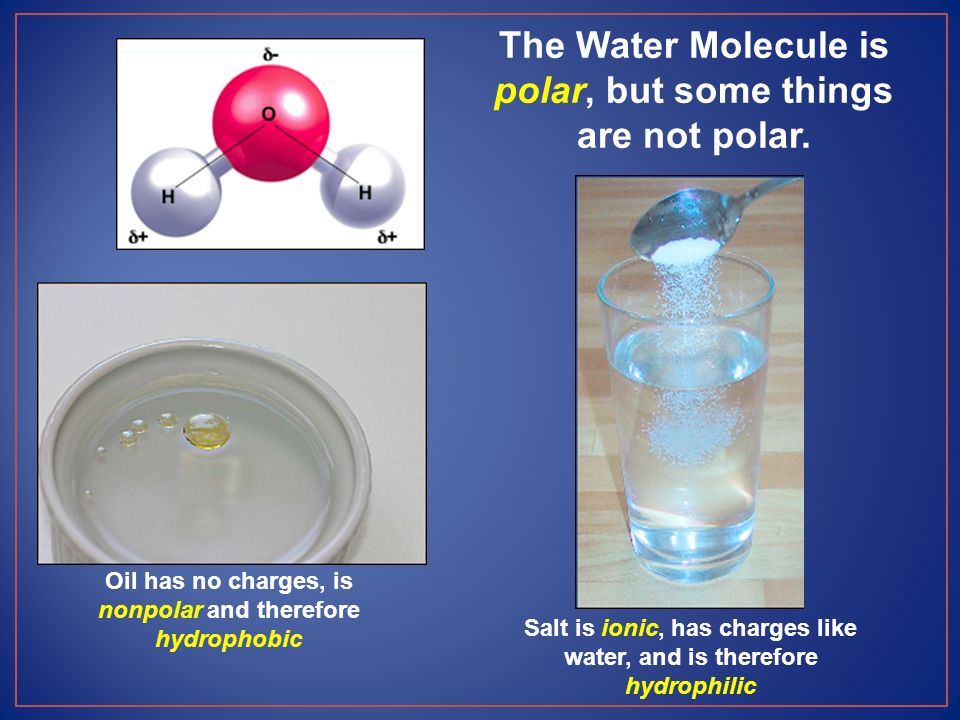 1sketch The Ball And Stick Model Of A Water Molecule And