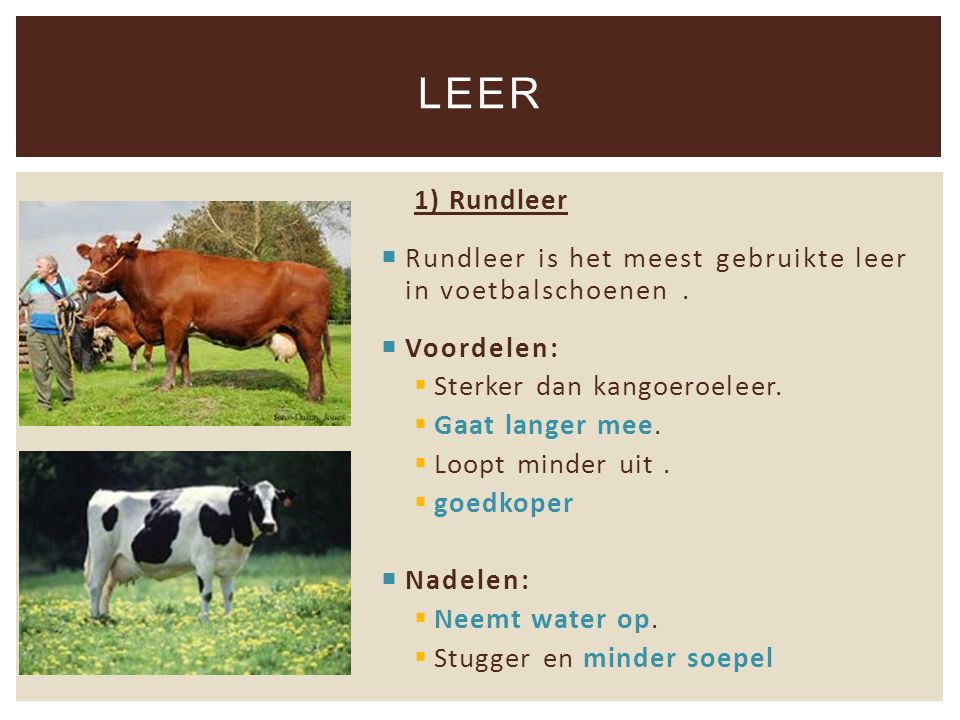 lederen voetbalschoenen