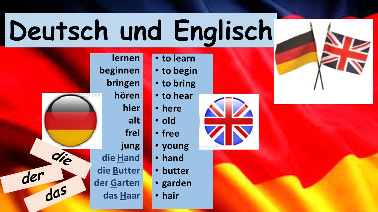 Языки похожие на немецкий