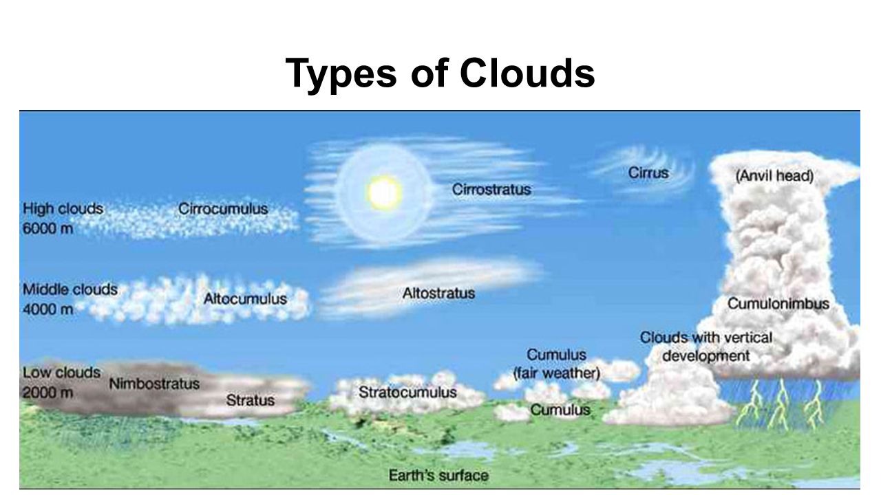 Туча на английском. Типы облаков. Типы облаков высота. Типы облаков на английском языке. Облака метеорология.