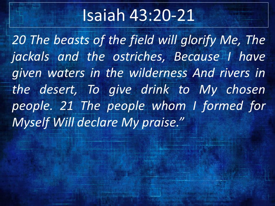 Isaiah 43: The beasts of the field will glorify Me, The jackals and the ostriches, Because I have given waters in the wilderness And rivers in the desert, To give drink to My chosen people.