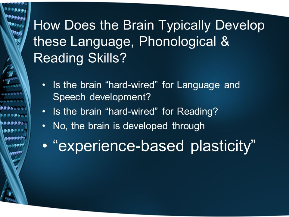 How Does the Brain Typically Develop these Language, Phonological & Reading Skills.