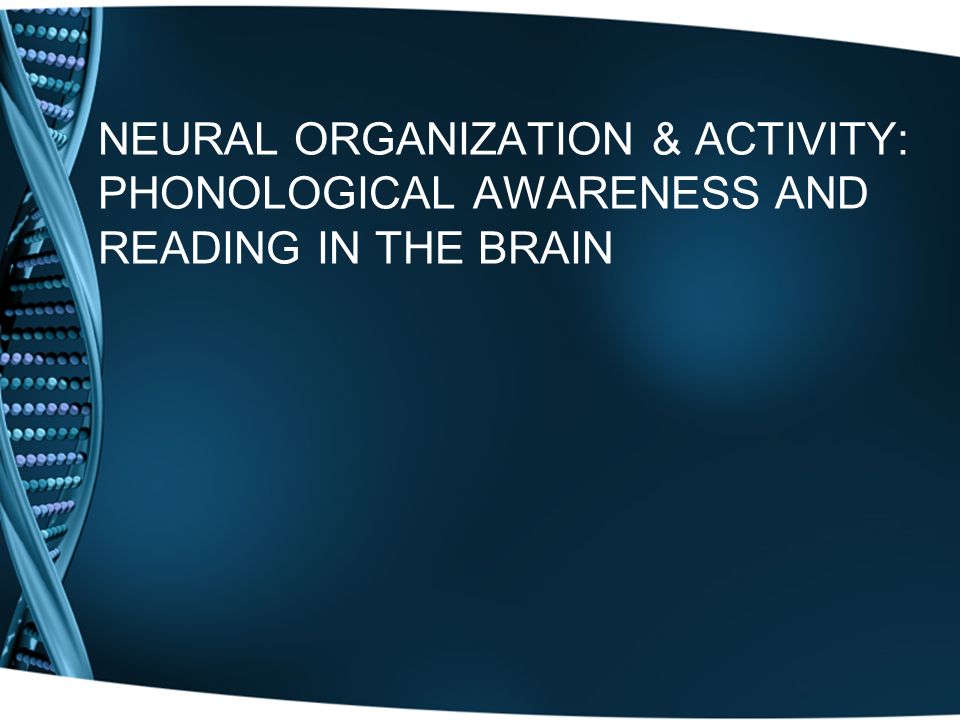 NEURAL ORGANIZATION & ACTIVITY: PHONOLOGICAL AWARENESS AND READING IN THE BRAIN