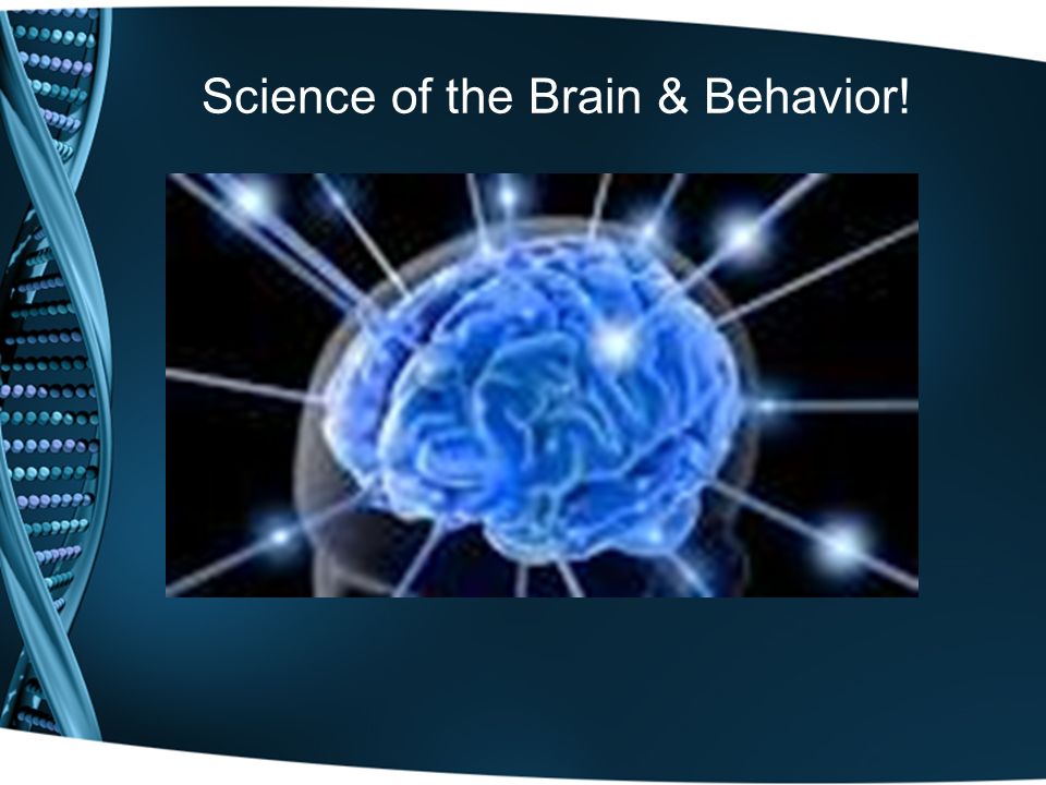 Science of the Brain & Behavior!
