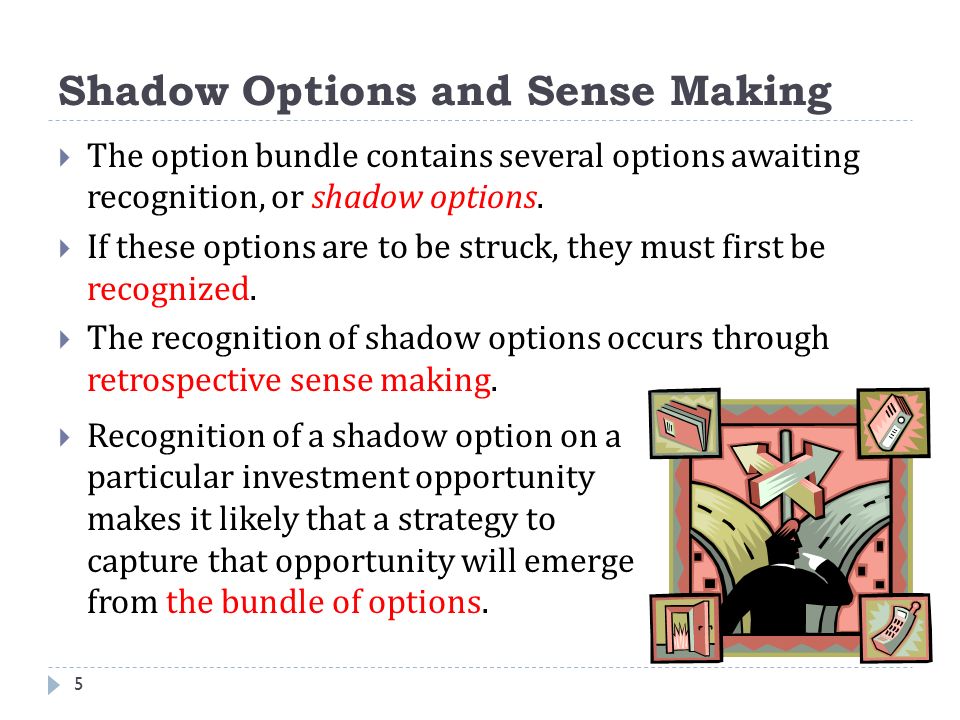 Shadow Options and Sense Making 5  The option bundle contains several options awaiting recognition, or shadow options.